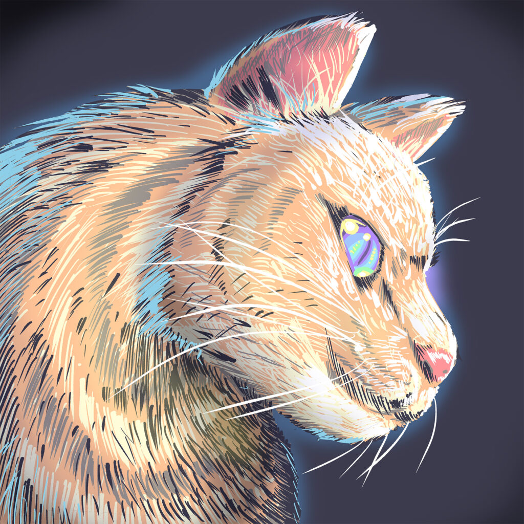 猫のイラスト